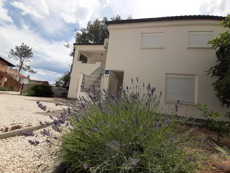 Apartman Bunaric 维尔 外观 照片